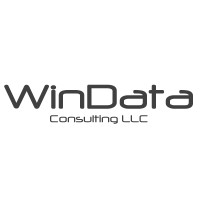 WinData Consulting LLC Logo