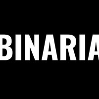 Grupo Binaria Logo