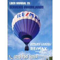 Remax Experiencia Inmobiliaria Logo