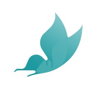 Vita Nova Counselling Logo