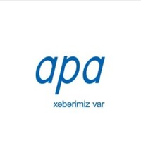 APA Logo