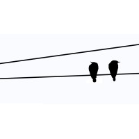 Two Birds, LLP Logo
