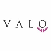 The VALO Group Logo
