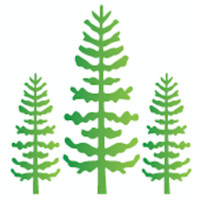 Olsen Family Financial, LLC Logo