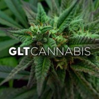 GLTCannabis Logo