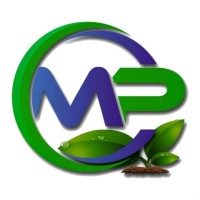 Marino Propiedades Logo