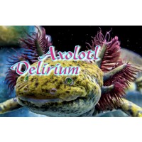 Axolotl Delirium Logo