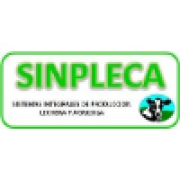 ID Cards Logo