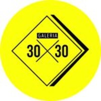 30x30gallery Logo