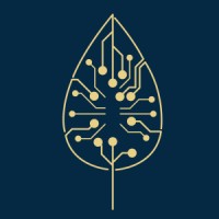 Moqapi Logo
