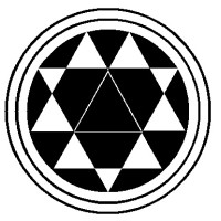 Trinity Wellness Studio Logo