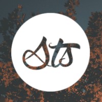 STORM TOWN STUDIOS Logo