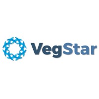 VegStar Assessoria em Informática Logo