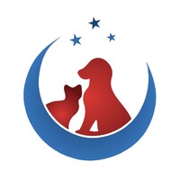 DVM STAT Consulting Logo