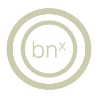 brandnetworx Logo