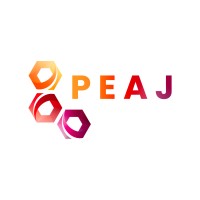 PEAJ- FORMATION & RECRUTEMENT Logo