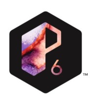 Prime 6 Logo