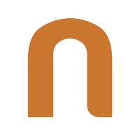 Netshare Marketing Criativo Logo