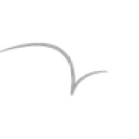 SkyDance Vascular, Inc. Logo