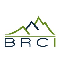 BRCI Logo