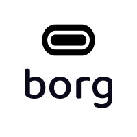 Borg Energy Storage Logo