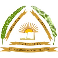 Universidad Nacional del Este Logo