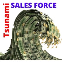 Tsunami Sales Force Logo