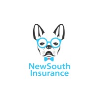 New South Insurance Group Logo