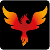 IMMERSION HEALTH Logo
