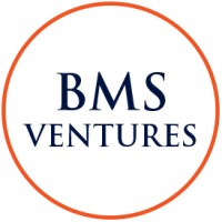 BMS Ventures LLC Logo