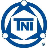 TNI The Network Inc. Logo