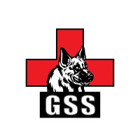 GSS-Training Solutions and Consulting Logo
