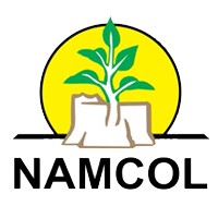 NAMCOL Logo