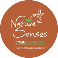 Nature Senses Logo