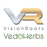 VisionRoots Services Pvt. Ltd. Logo