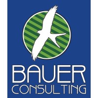 BAUER CONSULTING LLC Logo