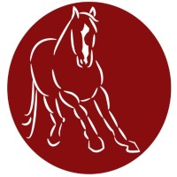 Red Pony Business Services Logo