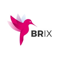 BRIX Logo