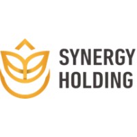 Synergy Holding Group Logo