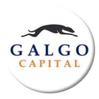 Galgo Capital SpA. Logo