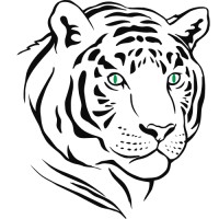 White Tiger Connections Logo