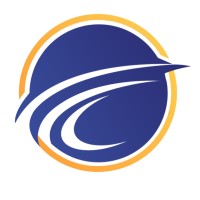 RSI Content Solutions India Pvt. Ltd. Logo