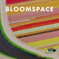 Bloomspace LLC Logo