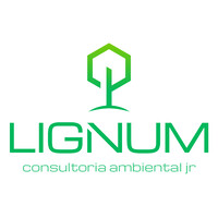Lignum Ambiental Jr. Logo