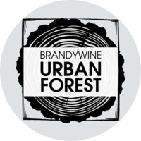 Brandywine Urban Forest Consulting Logo