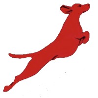 Red Dog Aerial Media, LLC Logo