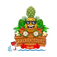 Palapa Tours Logo