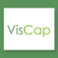 VisCap Logo