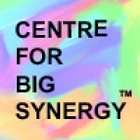 Centre for Big Synergy Logo