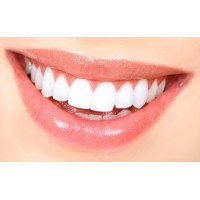 Danvers Dental Wellness Logo